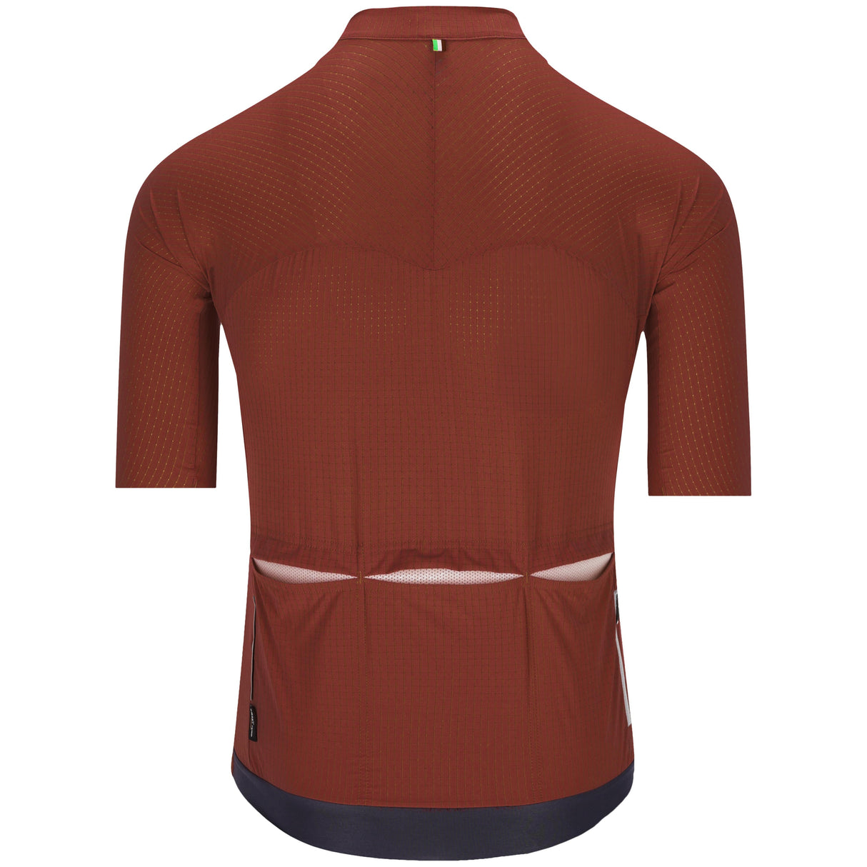 Maillot Q36.5 Dottore Pro - Marron