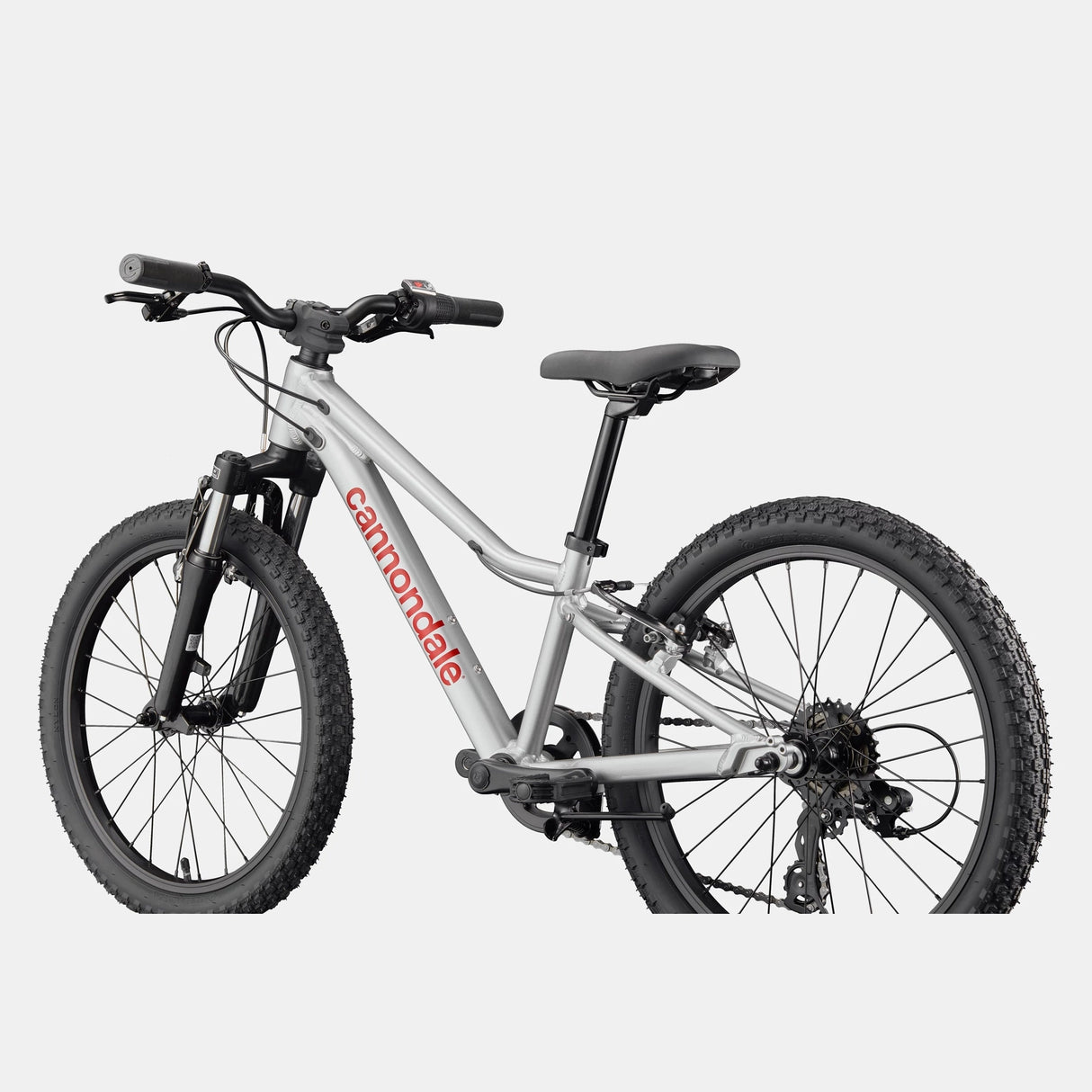 Cannondale Kids Trail 20 - Argent