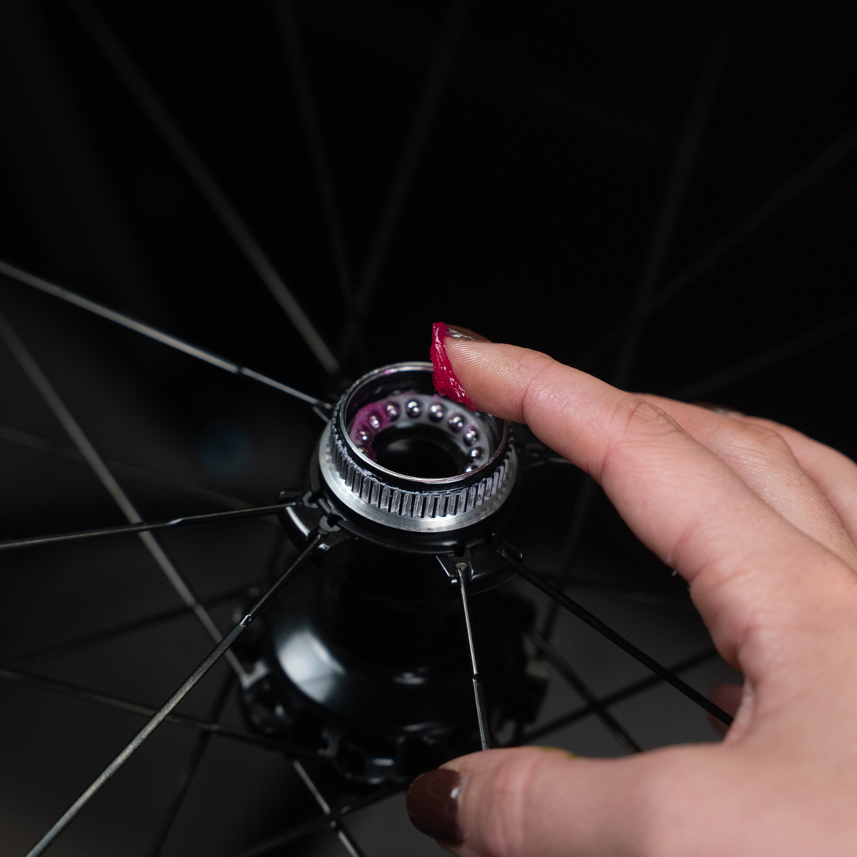 Grasso cuscinetti Dynamic Bearing Pro - 80 g Dynamic