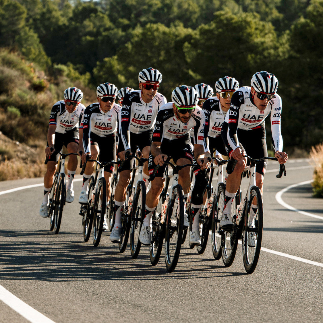 Trikot Pissei UAE Team Emirates - XRG 2026 Pissei