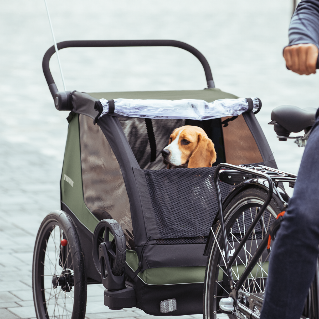 Thule Courier bike trailer - Thule Green