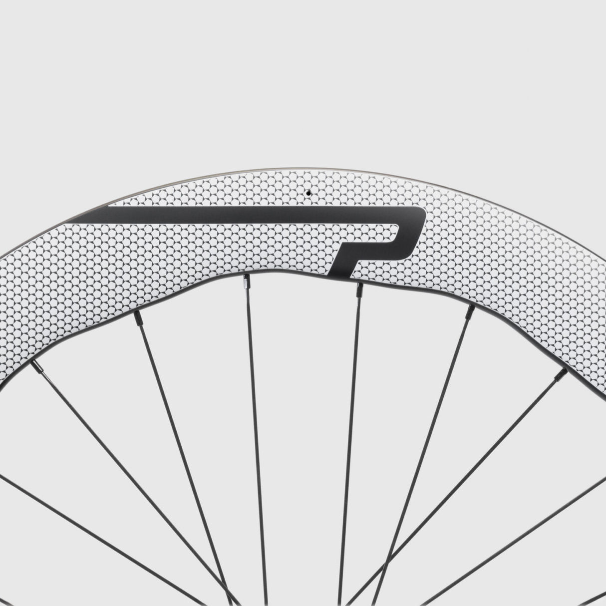 Ruote Princeton WAKE 6560 EVO Disc DT Swiss 240 EXP CL - Bianco Princeton Carbonworks