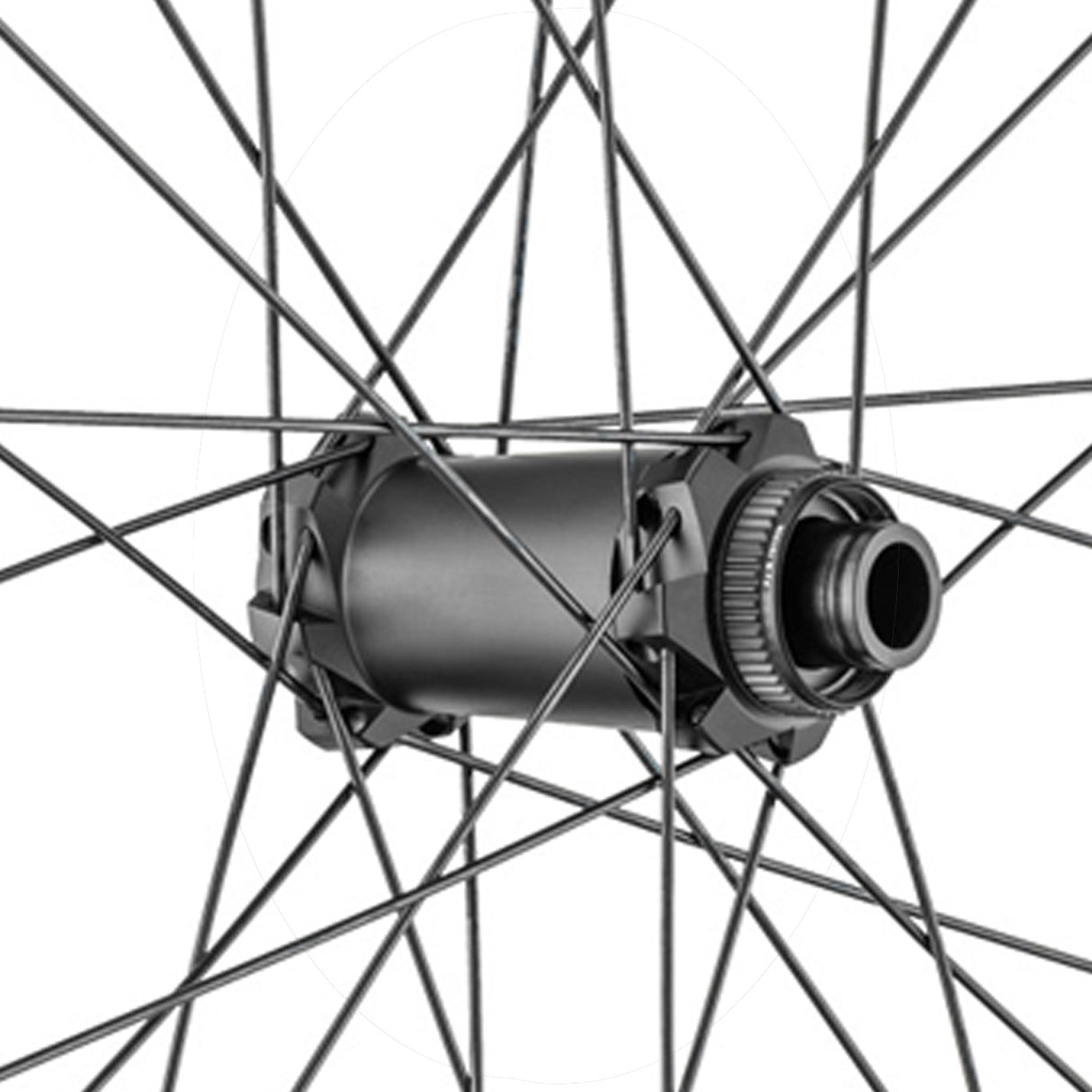 Ruote Dt Swiss HX 1700 Spline 29 30mm CL Boost - Nero - N