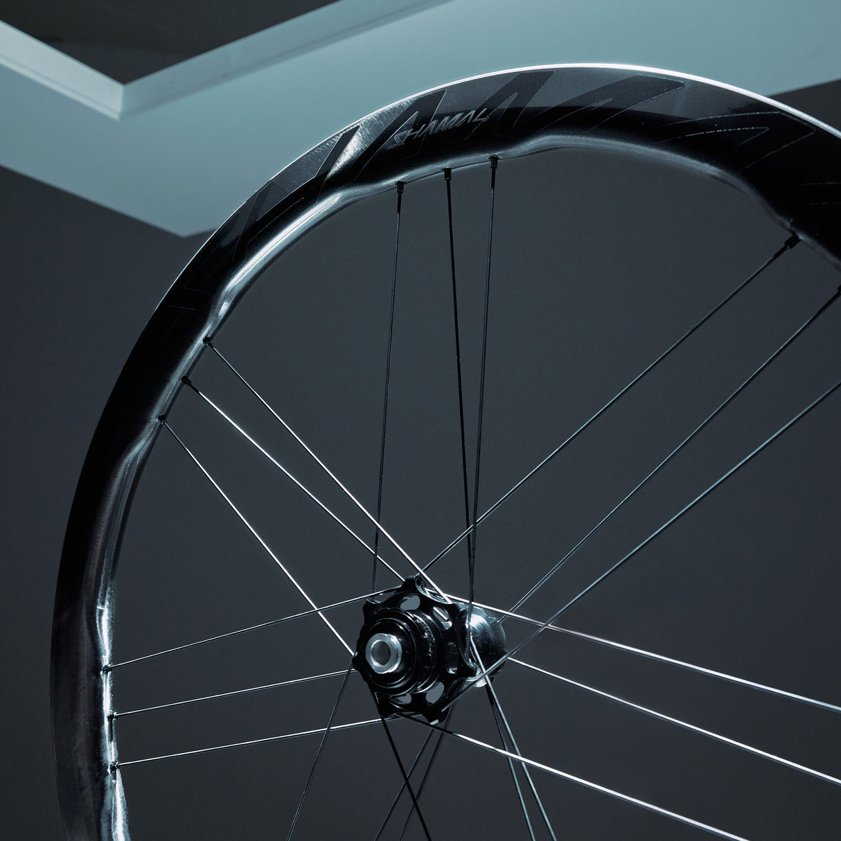 Ruote Campagnolo Shamal Dual Profile - Nero - L