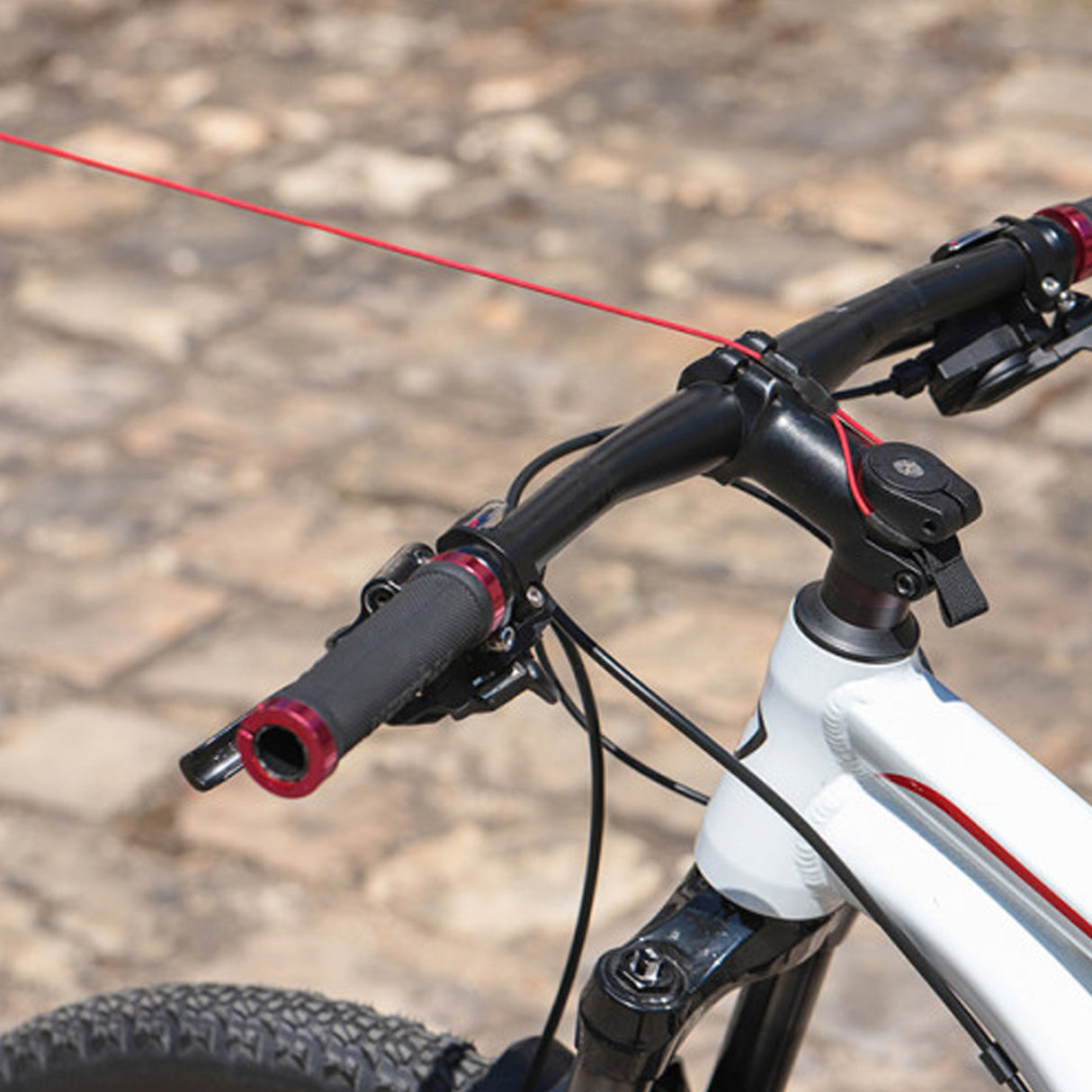 Zefal Bike Taxi - D