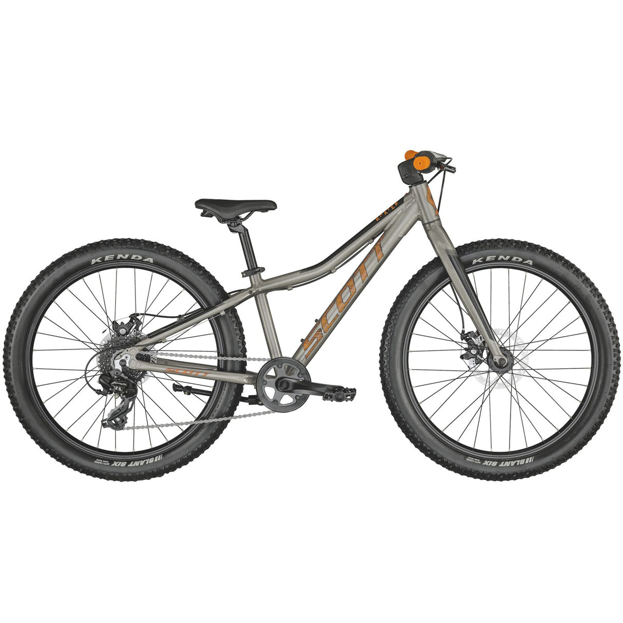 Scott Roxter 24 - Grigio - B