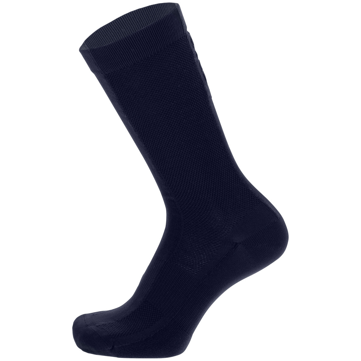 Calze Santini Puro High - Blu