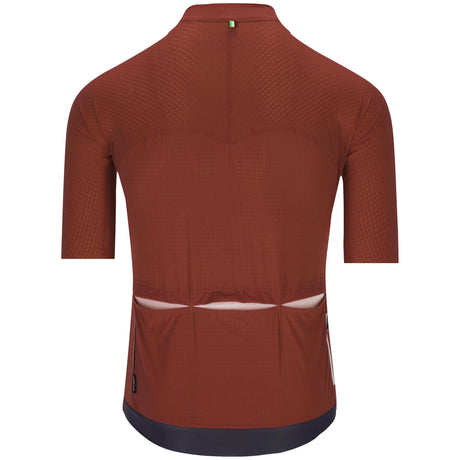 Maillot Q36.5 Dottore Pro - Marron
