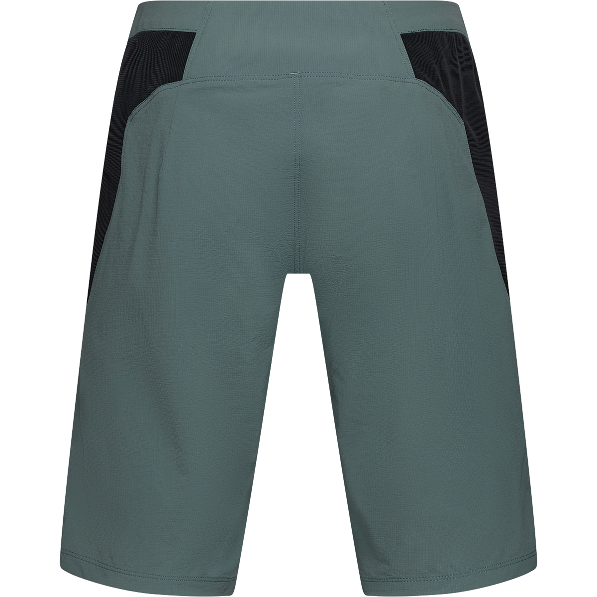 Women's shorts Fox Ranger W Liner - Sage