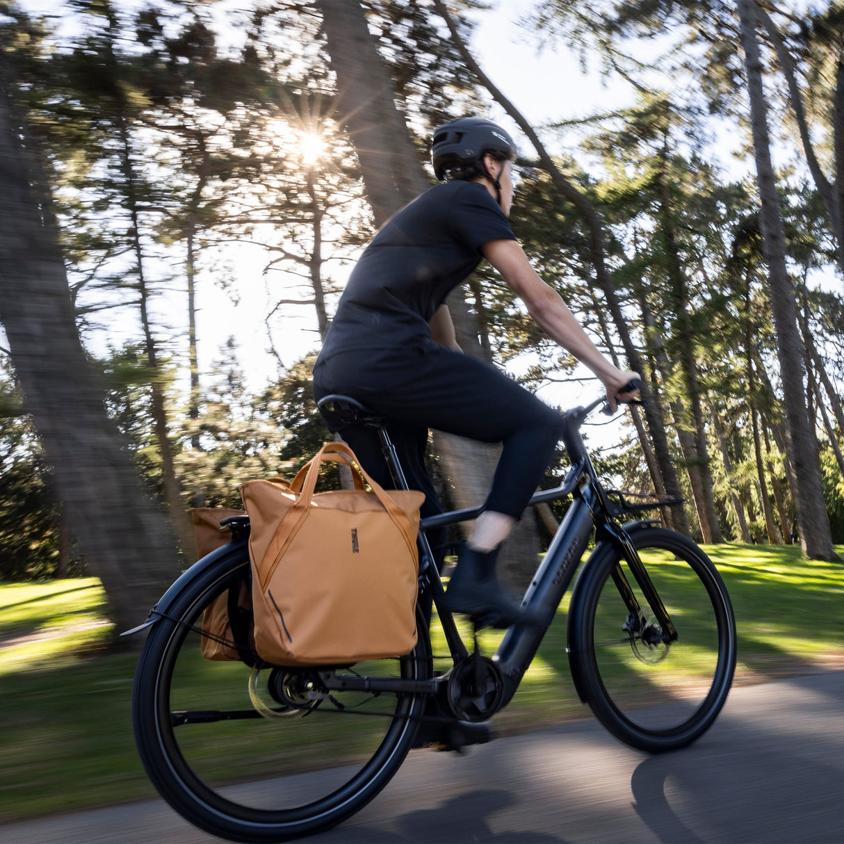Thule Chasm Fahrradtasche 25L 3205465 - Schwarz Thule