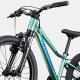Cannondale Kids Trail 20 - Green