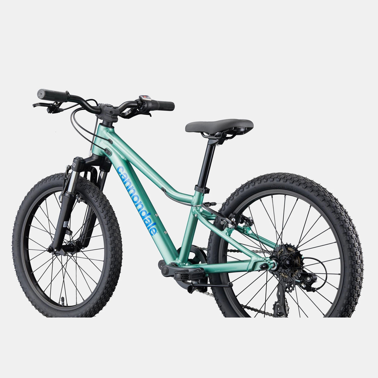 Cannondale Kids Trail 20 - Green