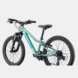 Cannondale Kids Trail 20 - Green