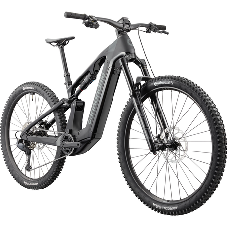 Cannondale Moterra 2 - Mattschwarz