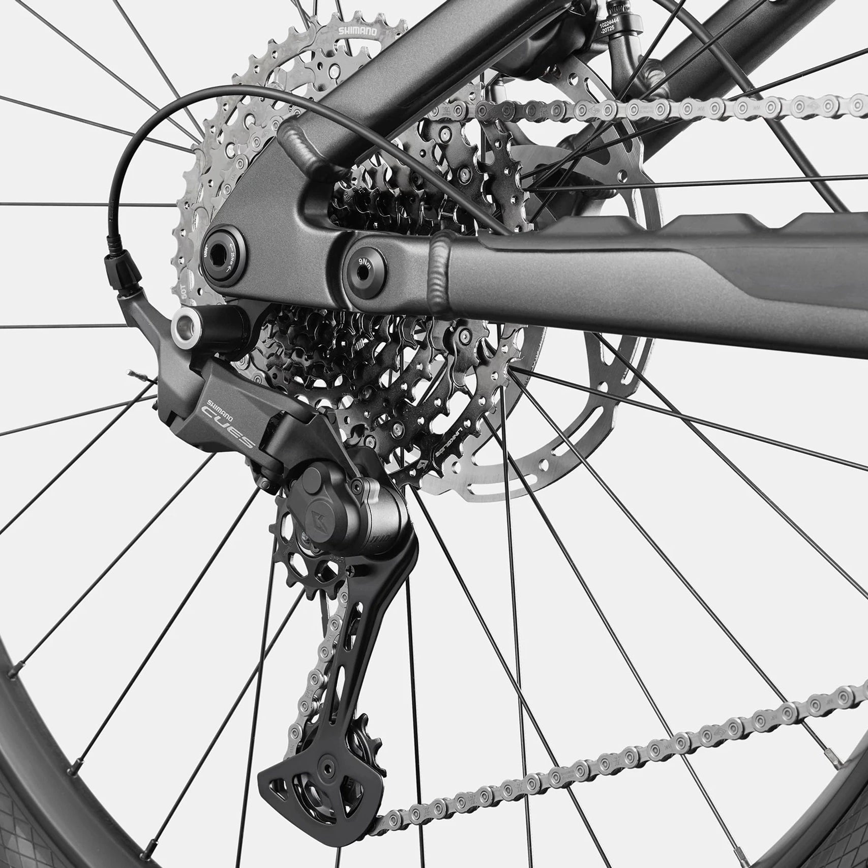 Cannondale Moterra 4 Plus - Grey dark