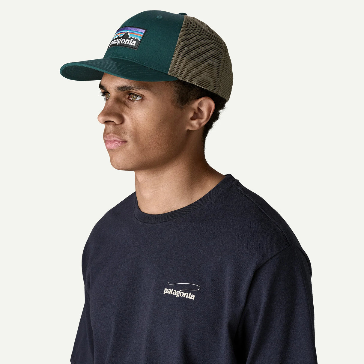 Cappellino Patagonia P-6 Logo Trucker - Verde Patagonia