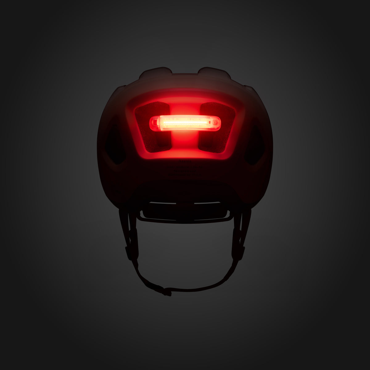 Casco Fizik Kassis - Marrone Fizik
