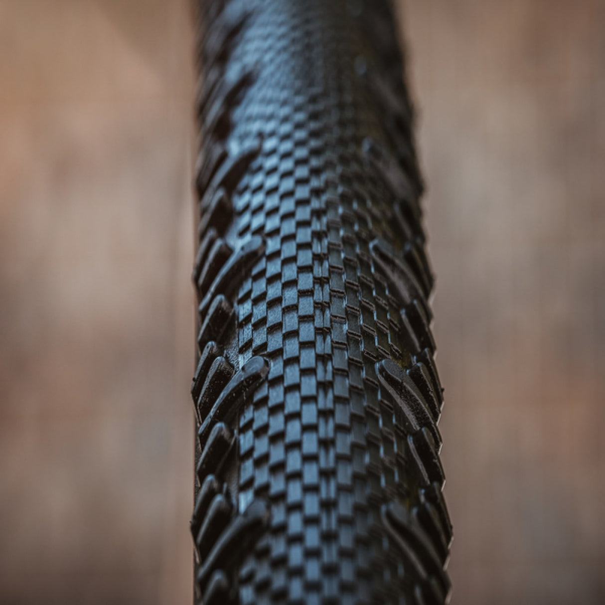 Copertoncino Schwalbe G-One RS PRO EVO TLR Addix Race 700x45c - Marrone Schwalbe