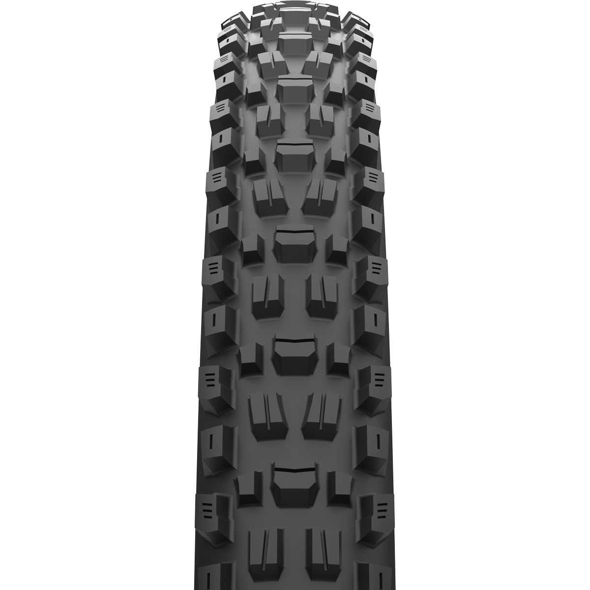 Pneu Maxxis Assegai MaxxTerra EXO+ TR - 29x2.60