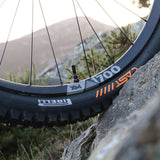 Copertone Pirelli Cast Protagonist DualWall - 27.5x2.40 Pirelli
