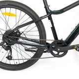 Cannondale Treadwell Neo - Vert foncé - G