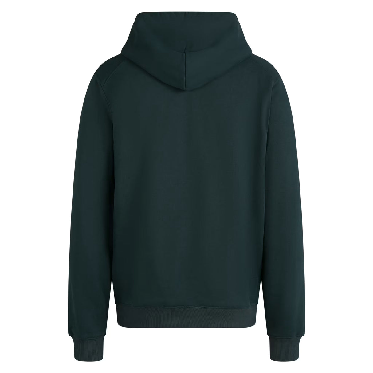 Sudadera Rapha Heavyweight Cotton - Verde