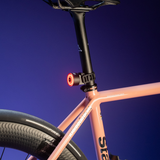 Luce Dynamic Red Lyte 100 - Posteriore Dynamic