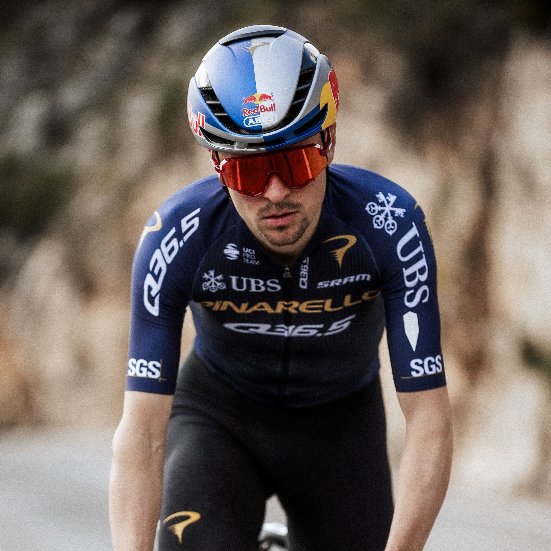 Maillot Pinarello-Q36.5 Pro Cycling Team 2026 Gregarius Clima