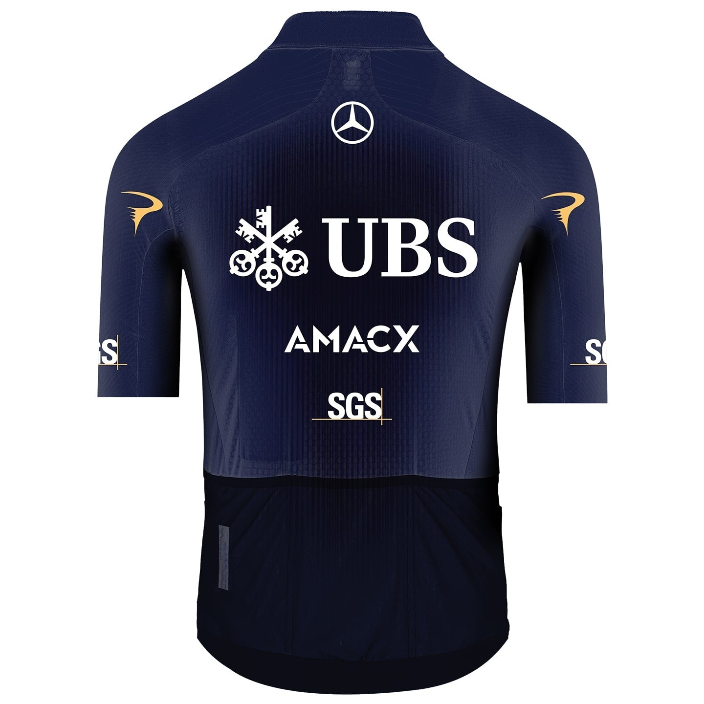 Maillot Pinarello-Q36.5 Pro Cycling Team 2026 Gregarius Clima