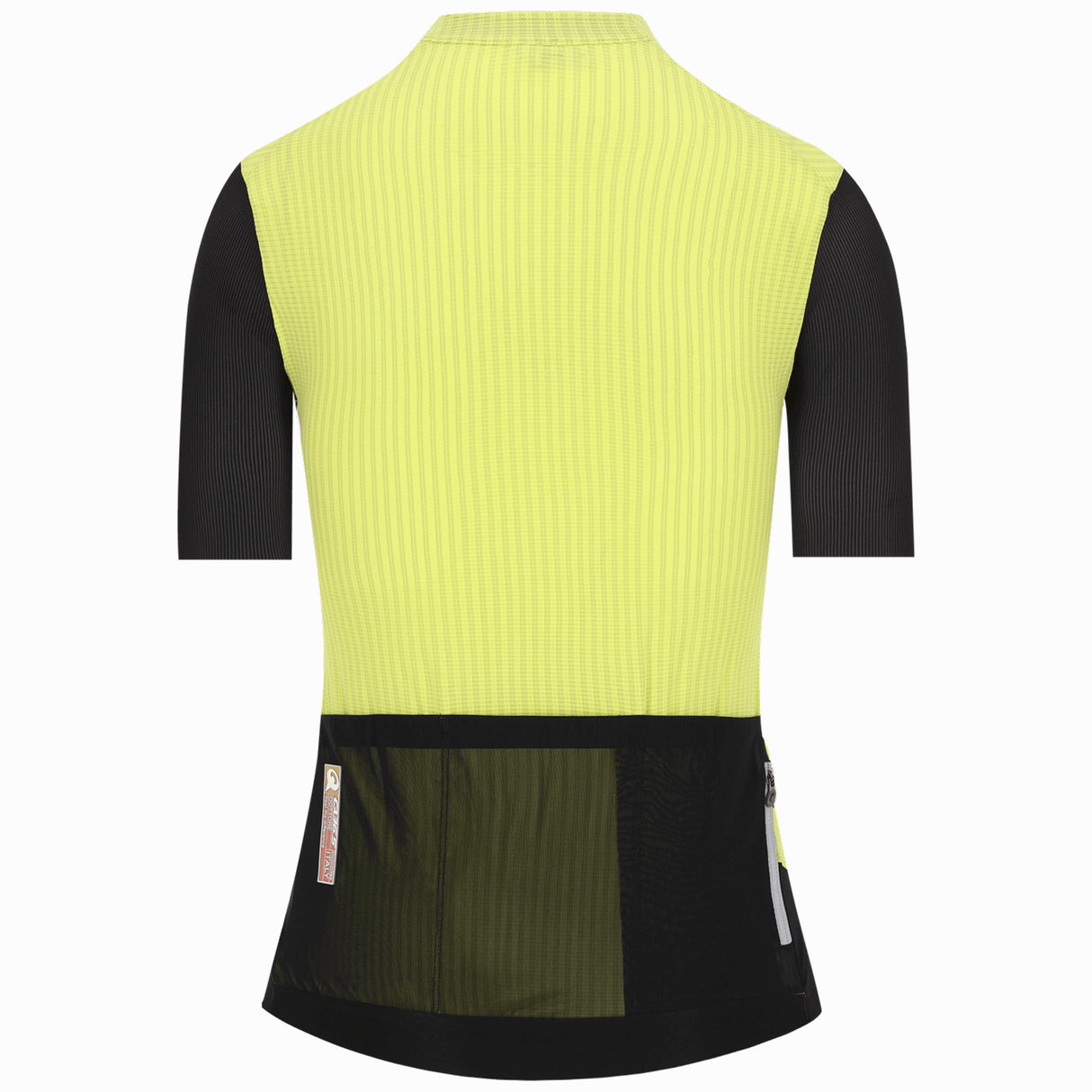 Maillot femme Q36.5 Dottore Clima - Vert
