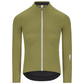 Q36.5 Dottore Pro Langarmtrikot - Grün