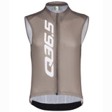 Maillot sin mangas Q36.5 Gregarius Signature - Gris