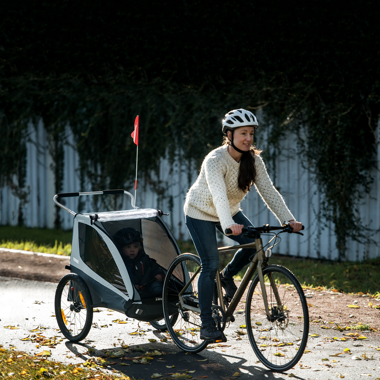 Fahrradanhänger Thule Coaster XT - Schwarz Thule