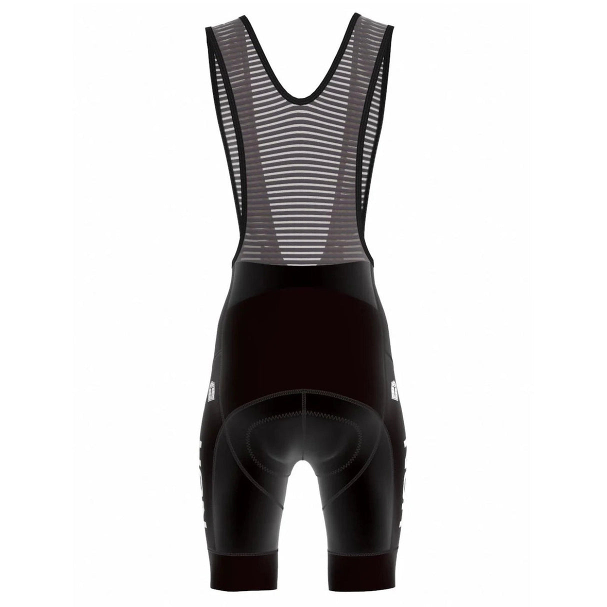 Bioracer Norwegian National 2026 Icon bib shorts 