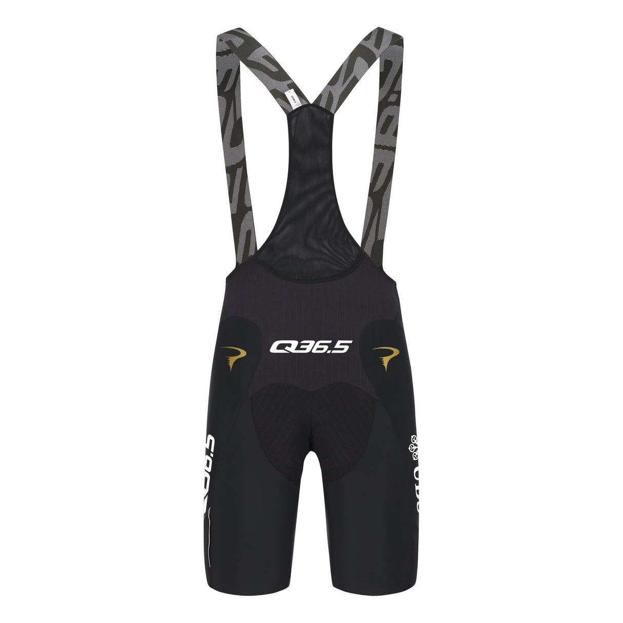 Salopette Pinarello-Q36.5 Pro Cycling Team 2026 Gregarius Q36.5