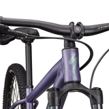 Specialized Rockhopper Comp - Morado