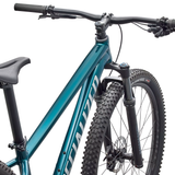 Specialized Rockhopper Expert 29 - Verde scuro Specialized