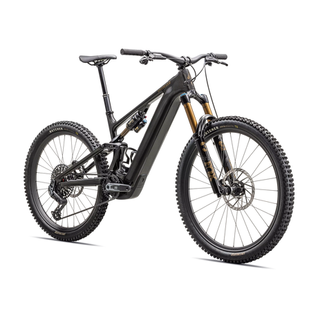 Specialized Turbo Levo 4 Pro - Grigio - G
