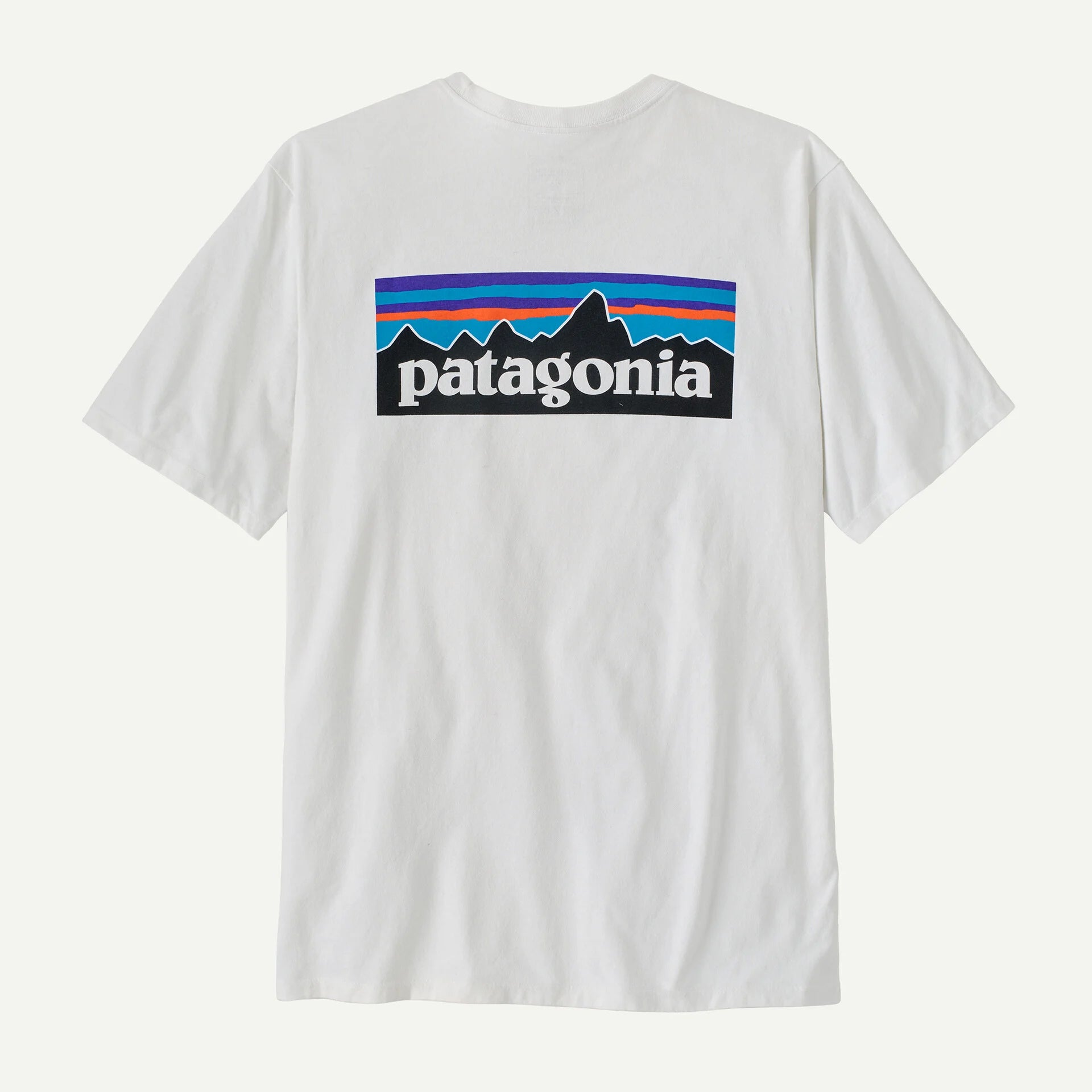 T-Shirt Patagonia P-6 Logo Responsibili-Tee - Bianco Patagonia