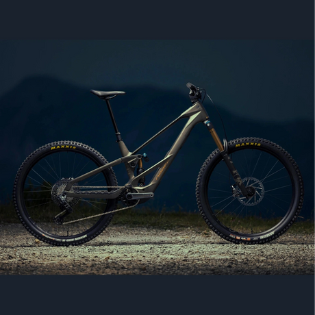 Orbea WILD LT M20 - Braun