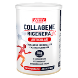 Collagene Rigenera Articolar WHYsport - 336 g