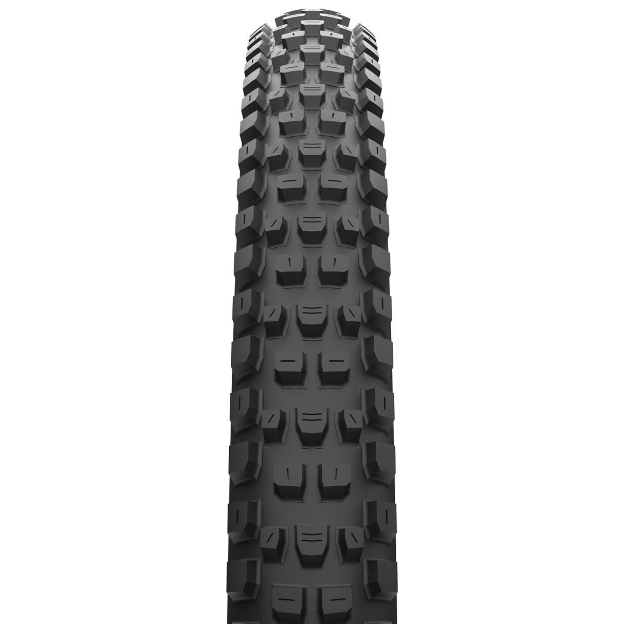 Copertone Maxxis Dissector MaxxTErra DD TR - 29x2.40