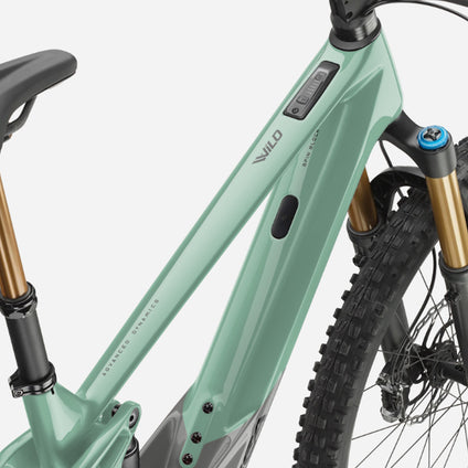 Orbea WILD M11 AXS Custom - Verde grigio - P