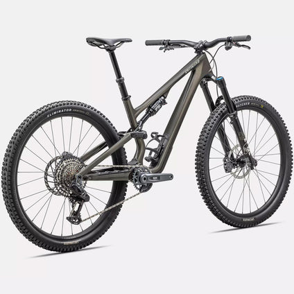 Specialized Stumpjumper 15 Expert - Grigio - C