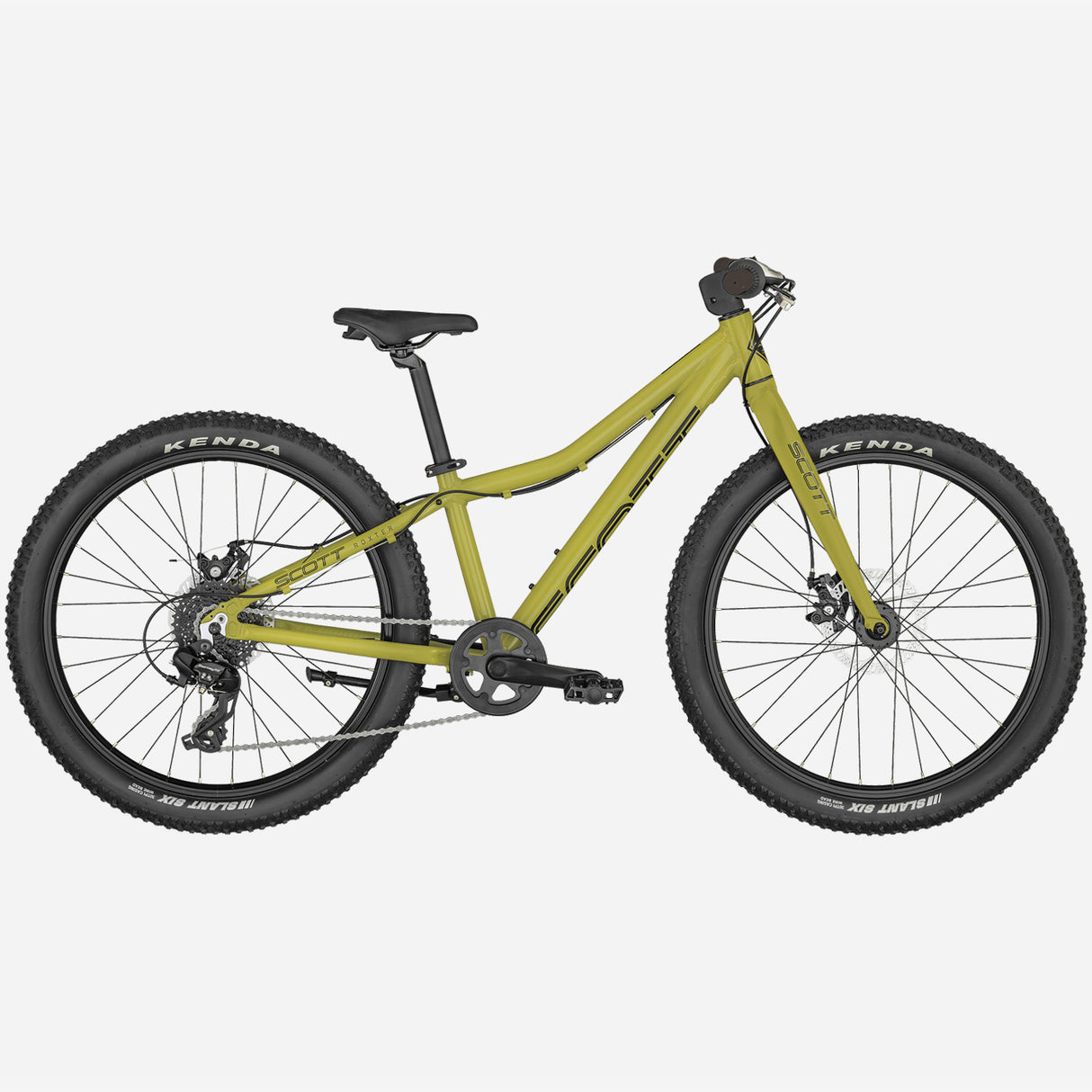 Scott Roxter 24 - Verde - B