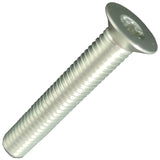 Vite di ricambio Carbon-Ti X-Cap TORX - Argento - C