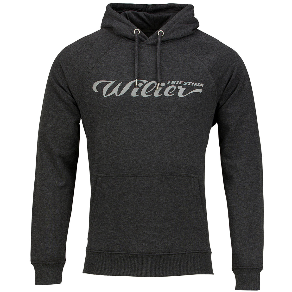 Felpa Wilier Triestina Logo - Grigio - H