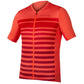 Maglia Endura Pro SL Lite Stripe - Arancio
