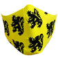 Mascarilla All4cycling - Leon de Flandes