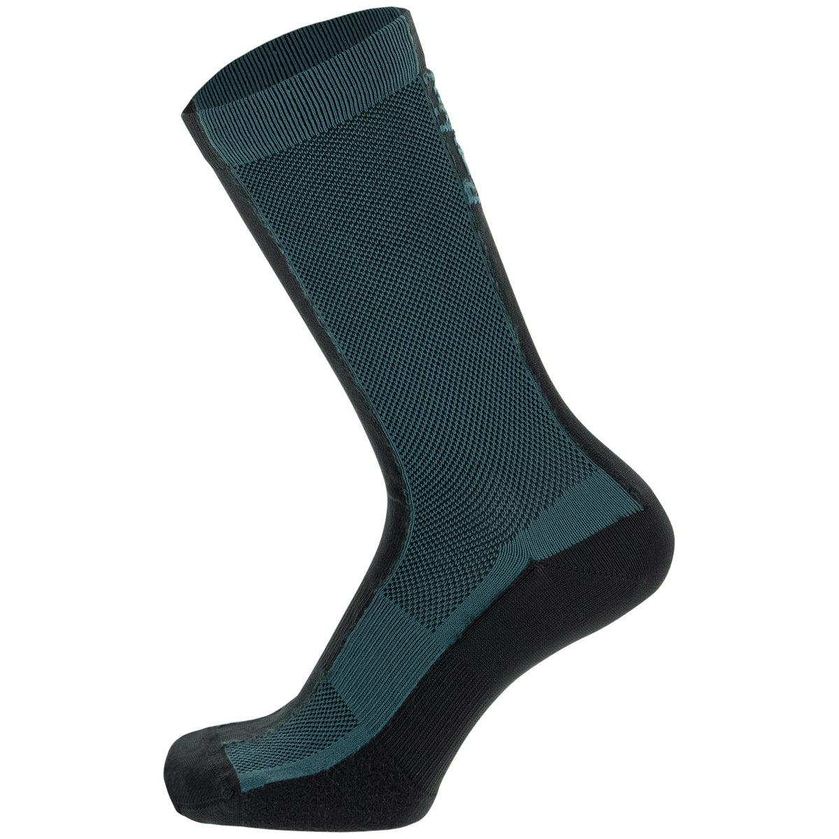 Calze Santini Puro High - Verde